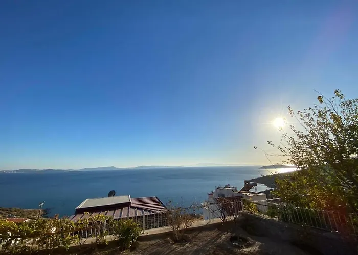 Pitanehouse ヴィラ *