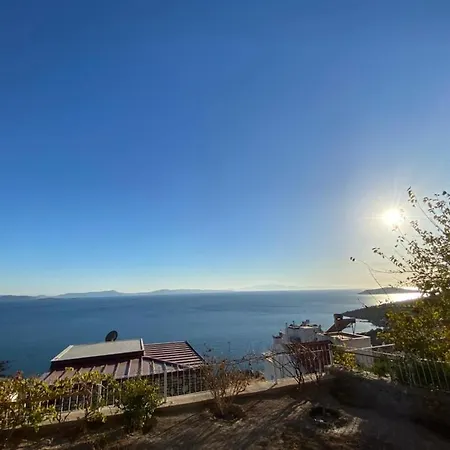 Pitanehouse فيلة *