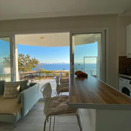 فيلة Pitanehouse