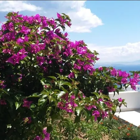 Villa Pitanehouse