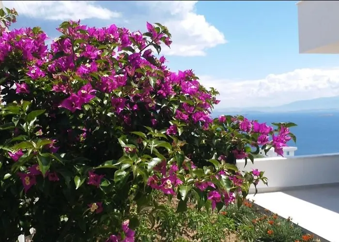 וילה Pitanehouse