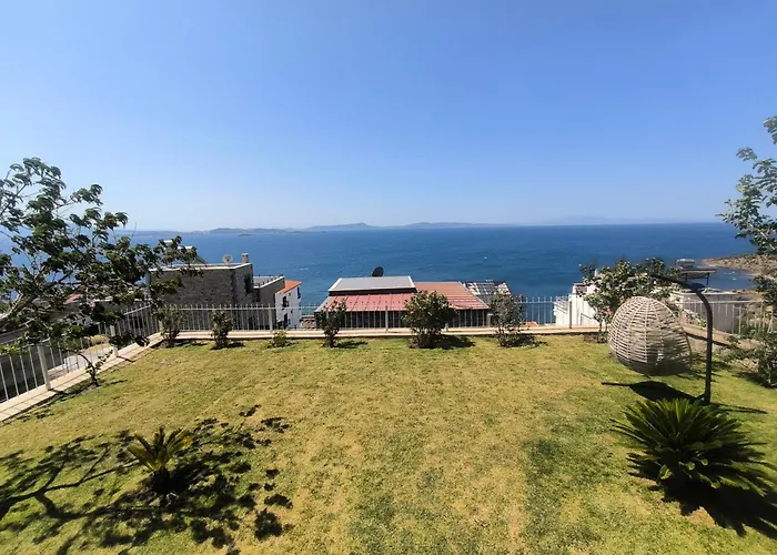 Pitanehouse דיקילי